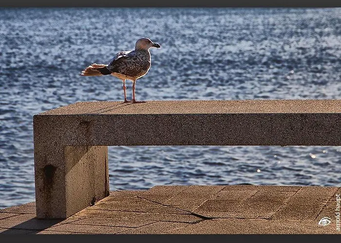 Mediterraneo A Vacaciones Sobre Rocas, 1ª Línea De Mar, Zona Privilegiada, Vista Al Mar. - Es-258-155 *